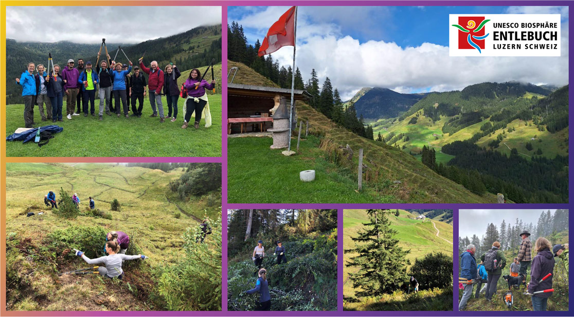 Viatris Schweiz