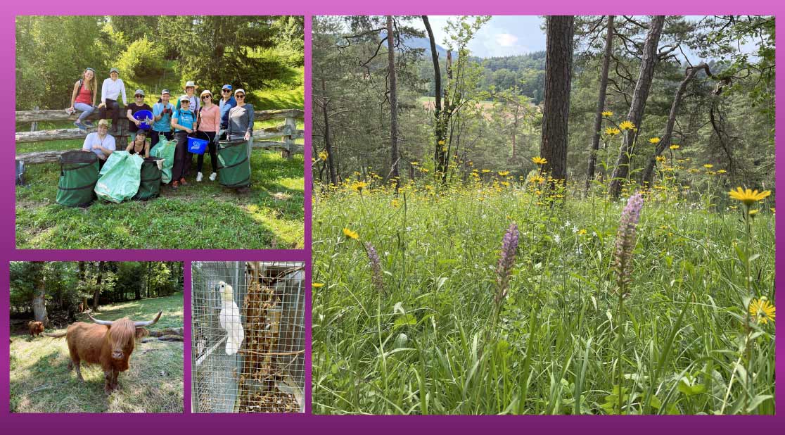 Viatris Schweiz